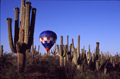 Arizona SonoranDesert 05 OUTILS CINEMATOGRAPHIQUES      Cinébulle      Vidéos