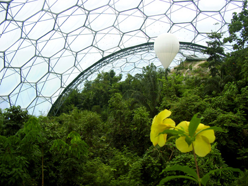 Eden-Park 1 SCIENTIFIC TOOLS      Canopy Bubble      Photos