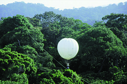 Gabon SCIENTIFIC TOOLS      Canopy Bubble      Photos
