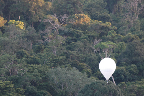Guyane Nouragues 1 SCIENTIFIC TOOLS      Canopy Bubble      Photos