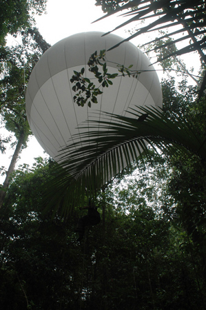 Guyane Nouragues 2 SCIENTIFIC TOOLS      Canopy Bubble      Photos