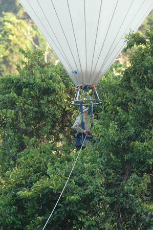 Guyane Nouragues 3 SCIENTIFIC TOOLS      Canopy Bubble      Photos