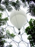  SCIENTIFIC TOOLS      Canopy Bubble      Photos