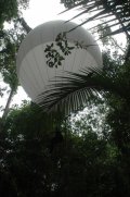  SCIENTIFIC TOOLS      Canopy Bubble      Photos