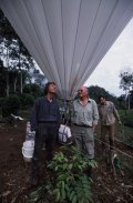  SCIENTIFIC TOOLS      Canopy Bubble      Photos