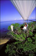  SCIENTIFIC TOOLS      Canopy Bubble      Photos