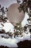  SCIENTIFIC TOOLS      Canopy Bubble      Photos