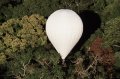  SCIENTIFIC TOOLS      Canopy Bubble      Photos