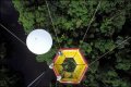  SCIENTIFIC TOOLS      Canopy Bubble      Photos